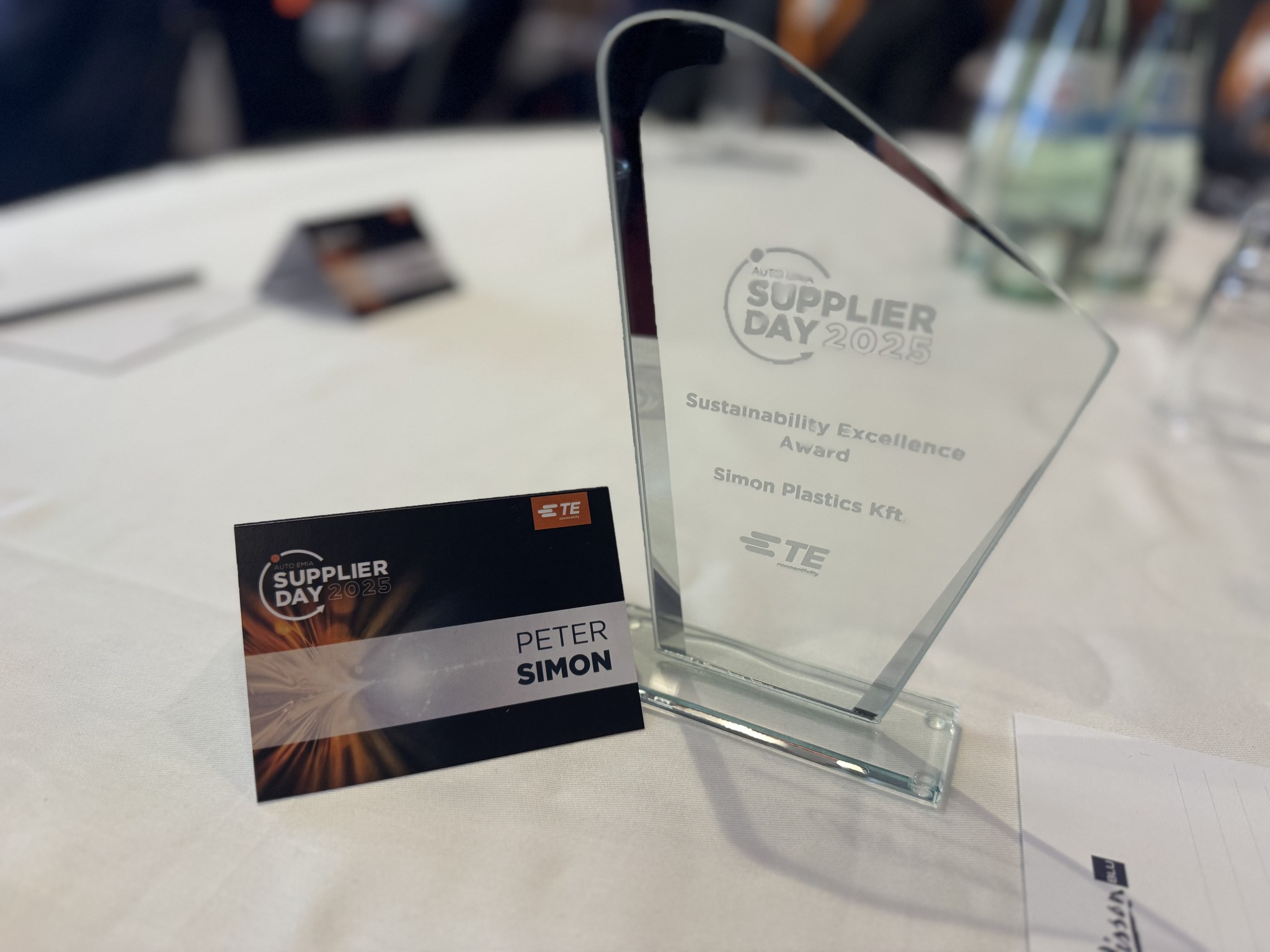 Illusztráció az alábbi tartalomhoz: Sustainability Excellence Award